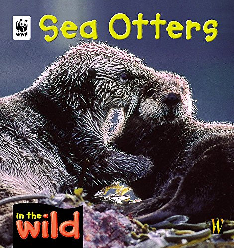 In The Wild: Sea Otters