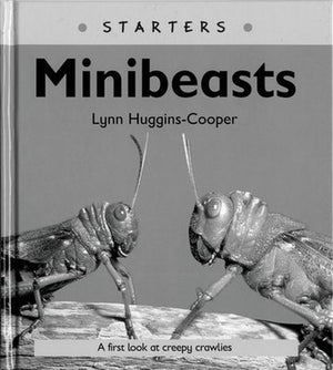 Read Write Inc. Comprehension: Module 24: Children's Book: Mini Beasts