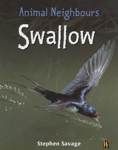Swallow
