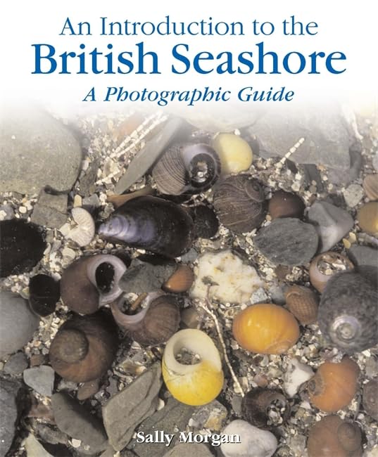 The British Seashore
