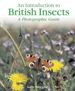 British Insects