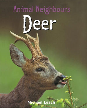 Animal Neighbours: Deer