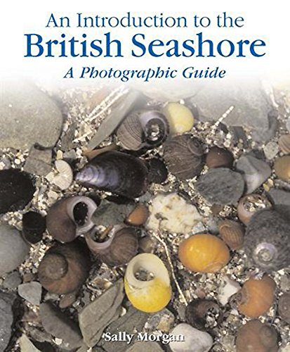 An Introduction to: The British Seashore