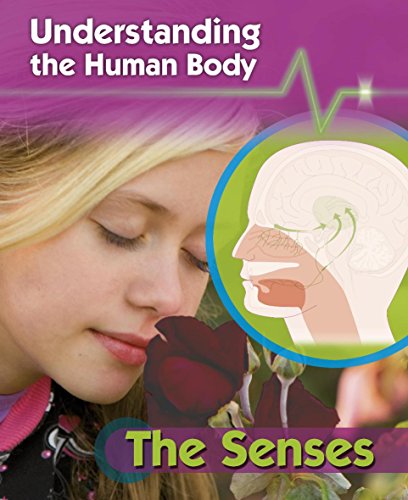 Understanding the Human Body: The Senses