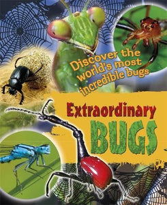 Extraordinary Bugs 