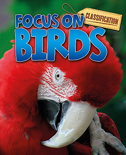 Classification: Focus on: Birds
