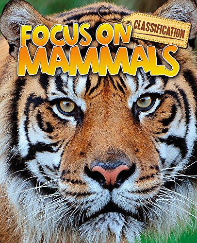 Classification: Focus on: Mammals