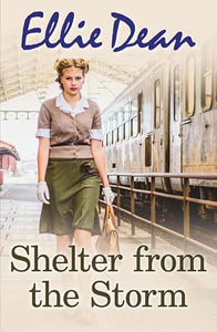 Shelter From The Storm 