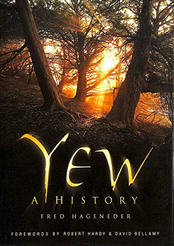 Yew