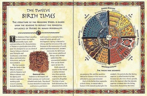 Little Earth Medicine:  1 Falcon