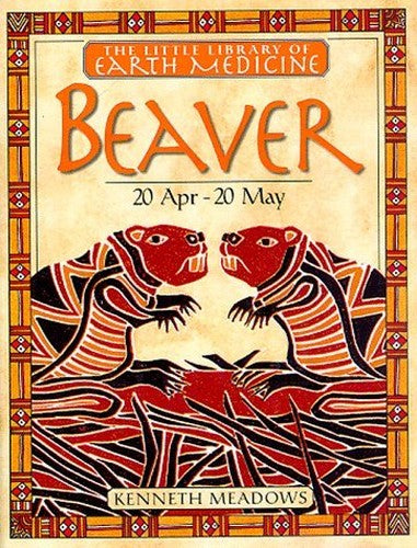 Little Earth Medicine:  2 Beaver