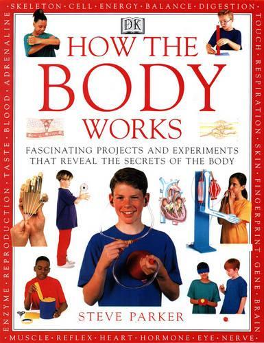 How Body Works
