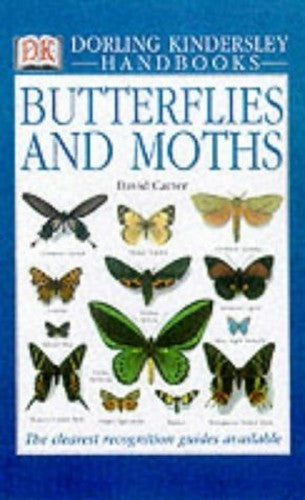 DK Handbook:  Butterflies and Moths