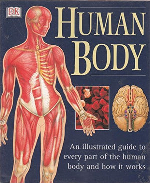 Human Body