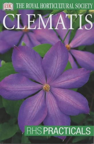Clematis