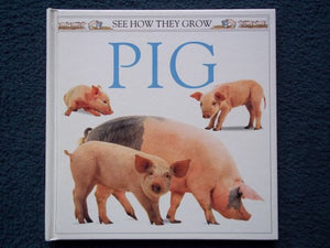 See How They Grow:  13 Pig