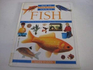 How To Look After Your Pet:  5 Fish