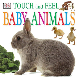 Baby Animals