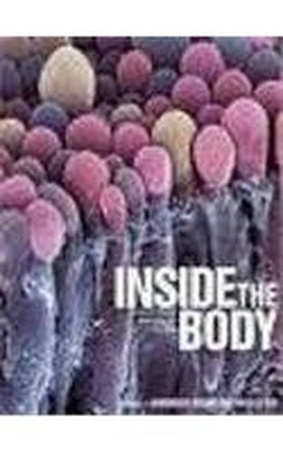 Lift The Flap Book:  Inside The Body