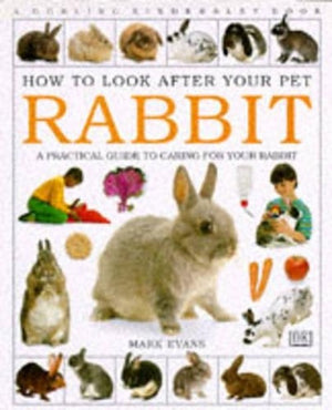 How To Look After Your Pet:  Rabbit