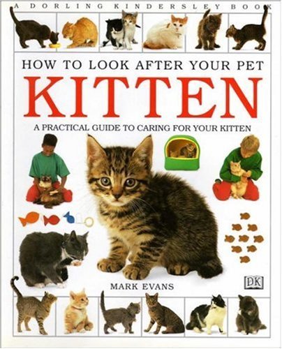 How To Look After Your Pet:  Kitten