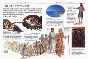Pockets Bible Companion