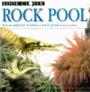 Rock Pool 