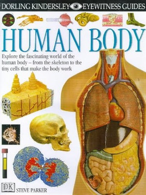 DK Eyewitness Guides:  Human Body