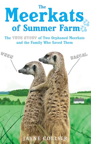 The Meerkats Of Summer Farm