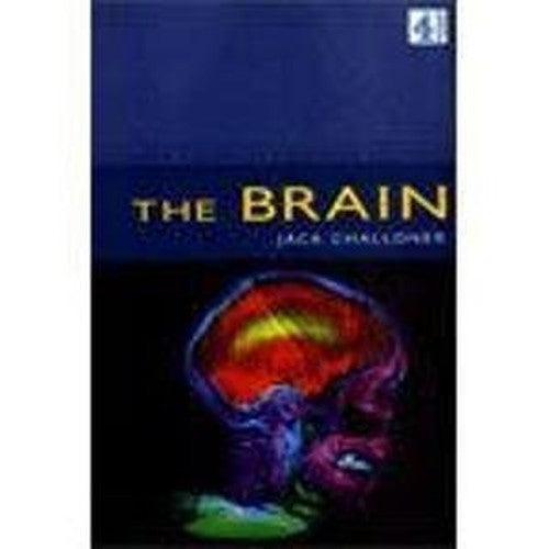 Equinox: Brain