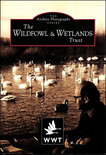 The Wildfowl Wetlands Trust, Slimbridge