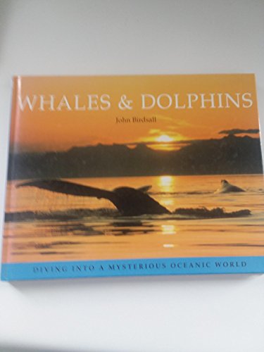Whales and Dolphins