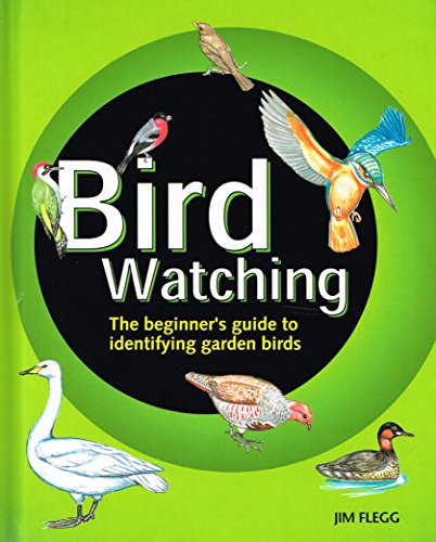 Junior Bird Watching