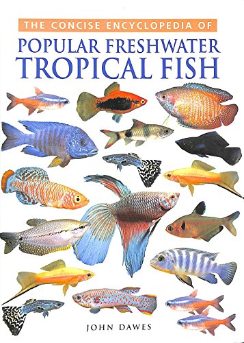 Tropical Fish