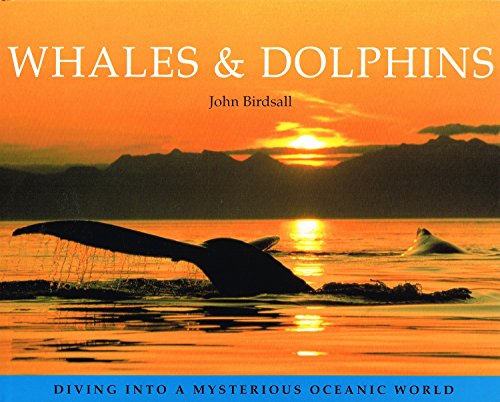 Whales & Dolphins
