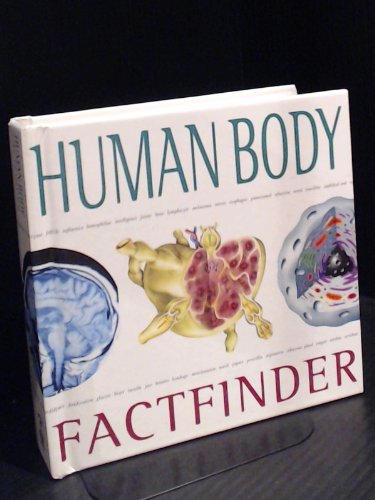 Human Body