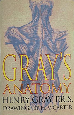 Anatomy