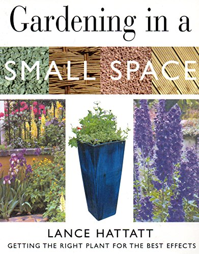 Small Garden
