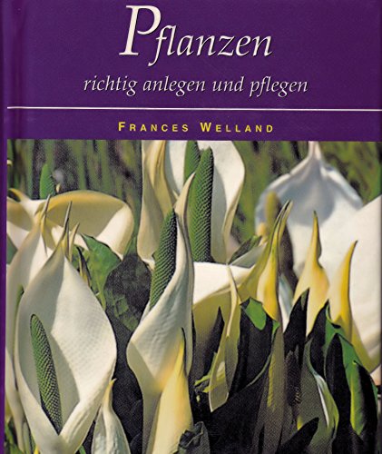 Pflanzen richtig anlegen und pflegen