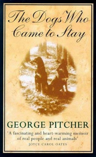 The Dogs Who Came to Stay