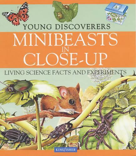 Minibeasts in Close Up