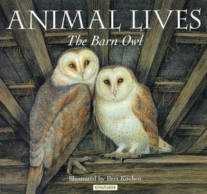 Barn Owl 