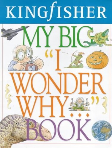 My Big I Wonder Why... Book