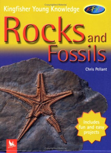 Rocks and Fossils