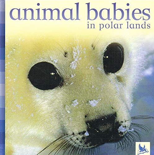 Animal Babies Polar