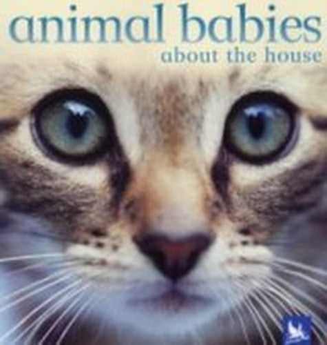Animal Babies About the House