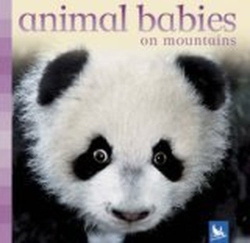 Animal Babies on Mountains