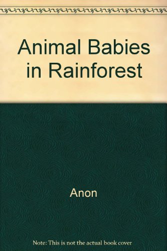 Animal Babies in Rainforest