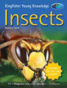 Insects 