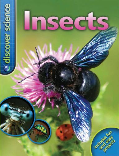 Discover Science: Insects
